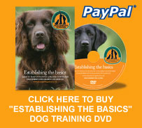 Establishing the basics DVD