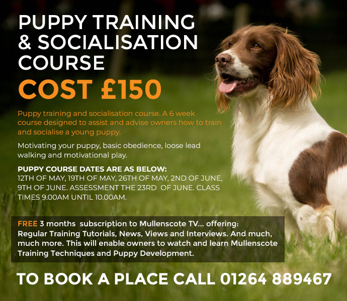 brand new puppy training and socialisation course